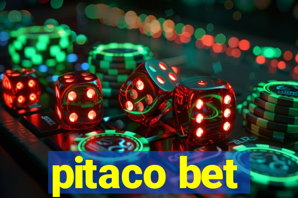 pitaco bet